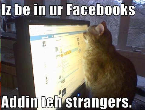 lol-cats-facebook-mobloggy.jpg