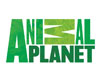 Animal Planet Logo