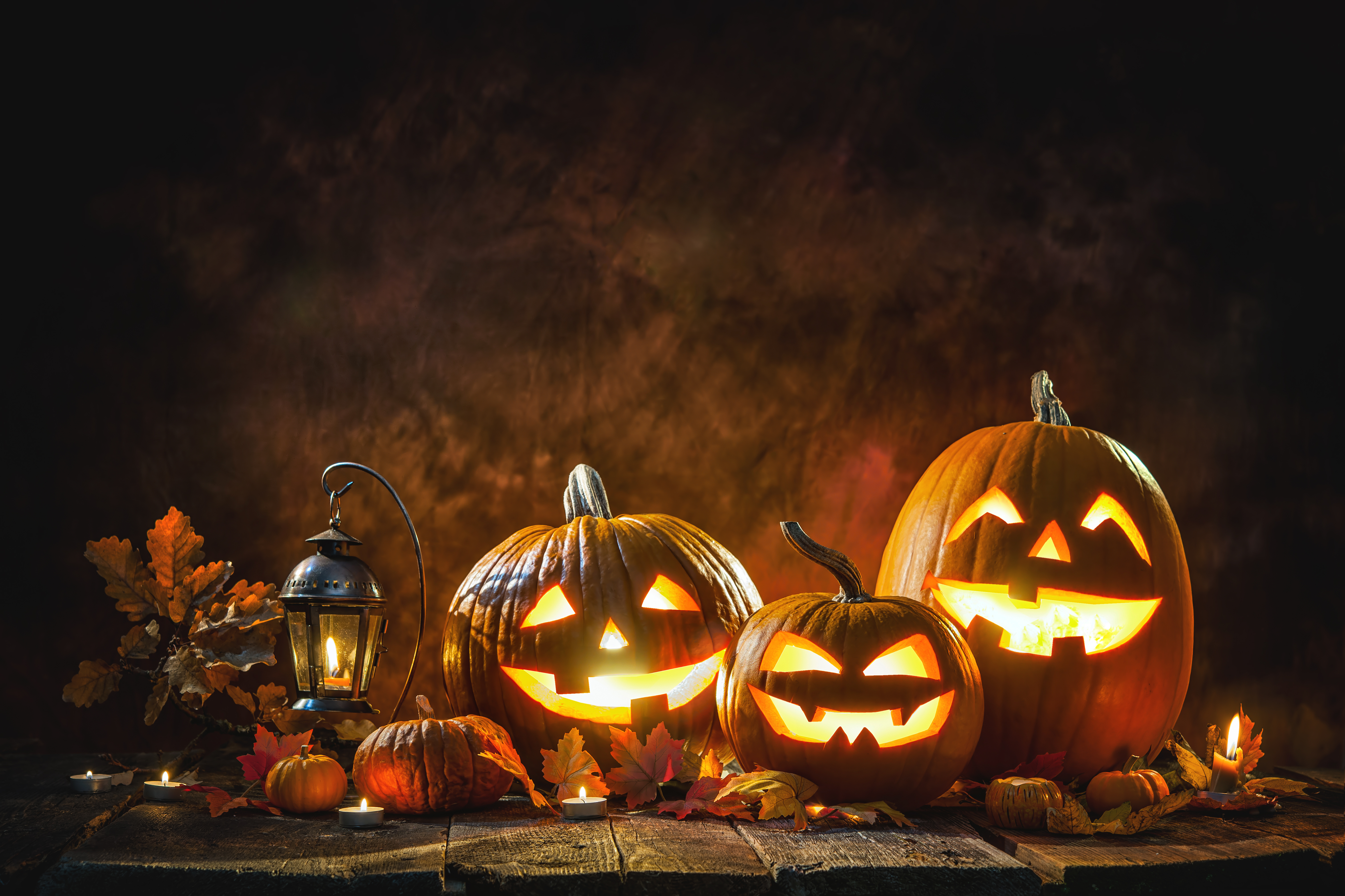  ThrowbackThursday 7 Facts That Bring The Spook This Halloween