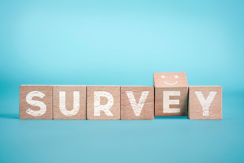 Employee Satisfaction Surveys