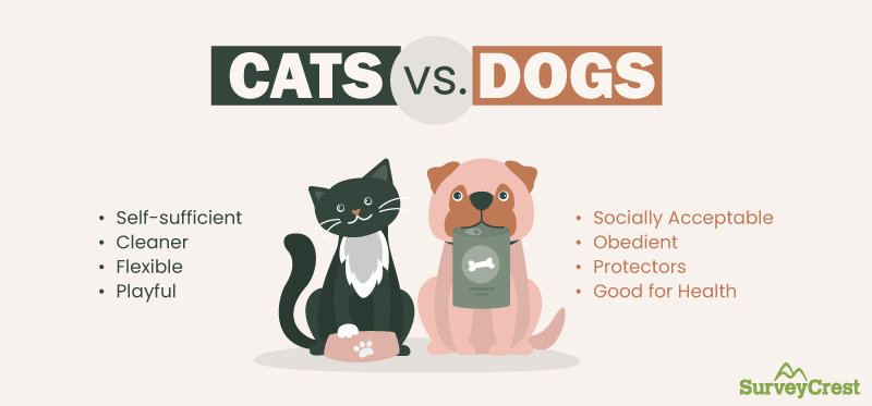 cat vs dogs