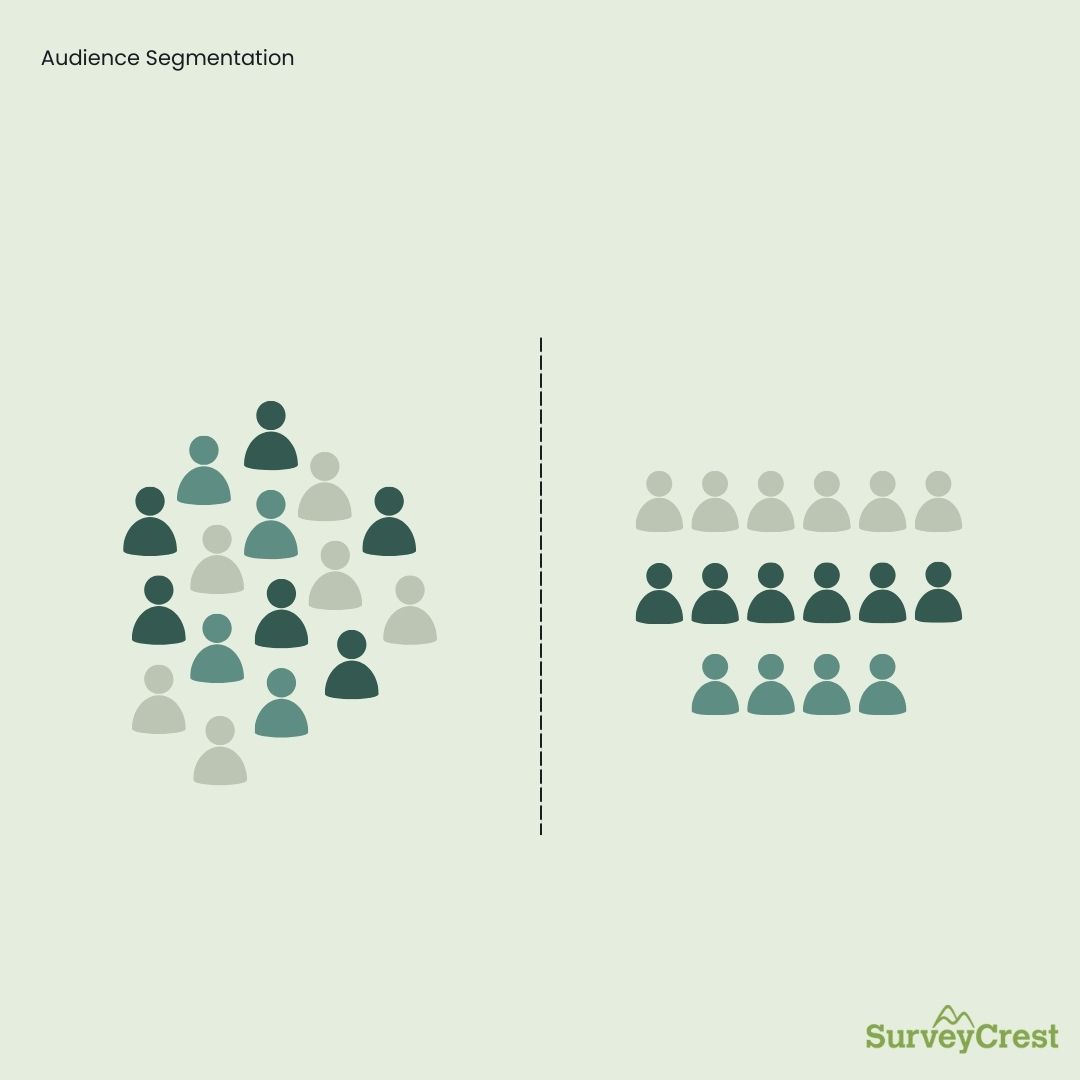 Audience Segmentation