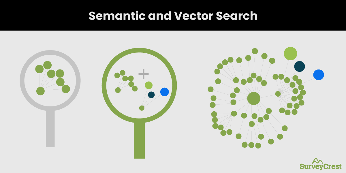 Semantic and Vector Search