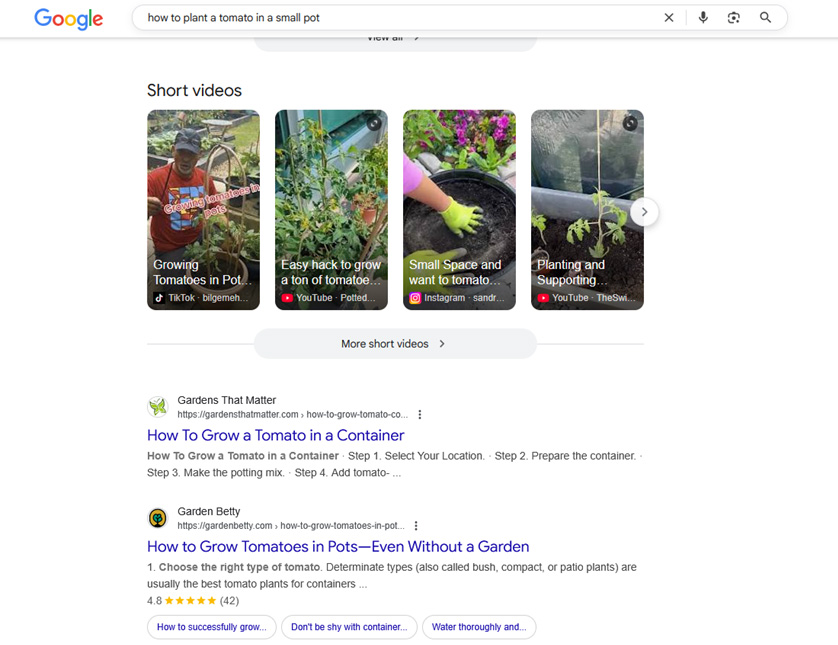 google search